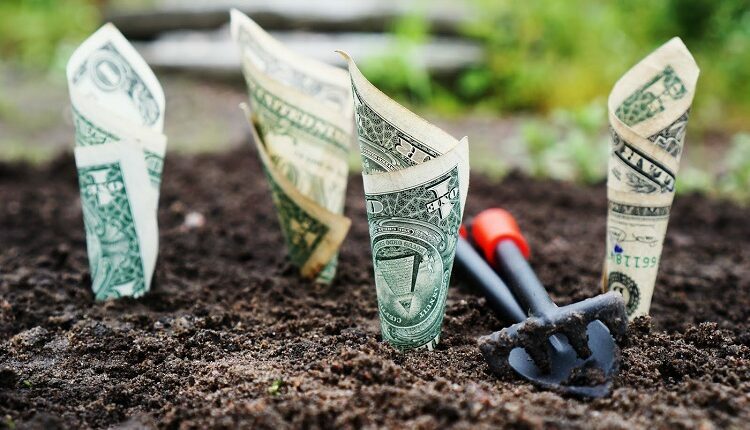 Mutual Funds